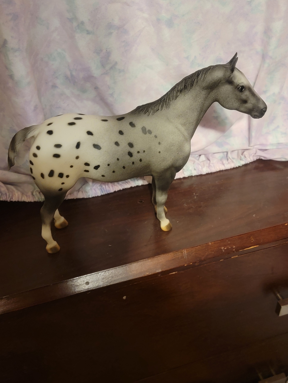 Breyer Diamondot Bucaneer